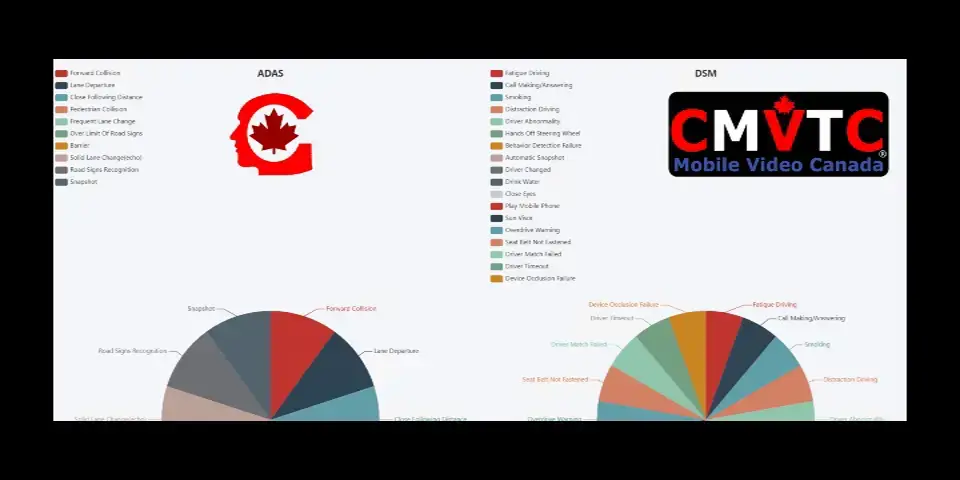 vlcsnap-2022-01-08-13h03m29s147